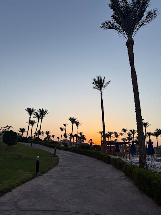 Gartenanlage Cleopatra Luxury Resort Makadi Bay