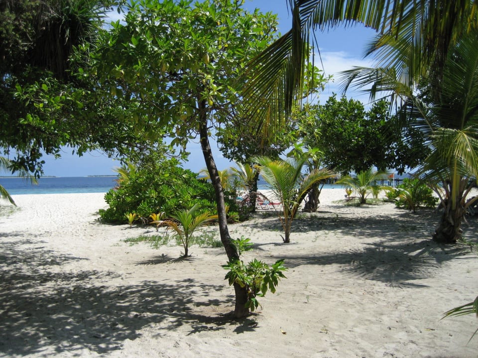 Vom Bungalow zum Meer Adaaran Select Meedhupparu Island Resort - Premium All Inclusive