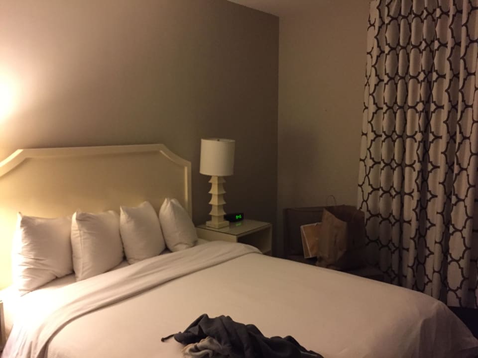 Zimmer Hollywood Hotel - The Hotel of Hollywood