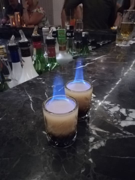 Gastro Acanthus Cennet Barut Collection