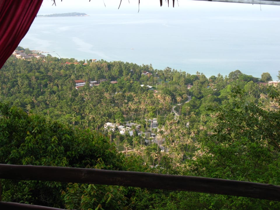 Chaweng Hotel The Jungle Club