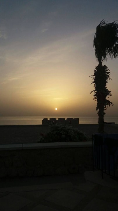 Sonnenaufgang Pickalbatros Citadel Resort