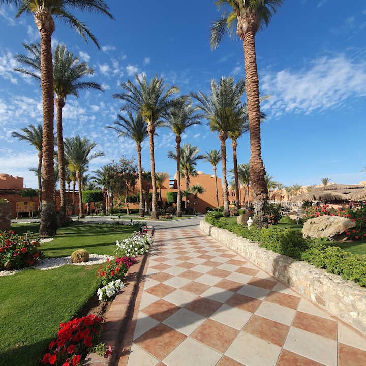 Gartenanlage Jaz Makadi Oasis Resort