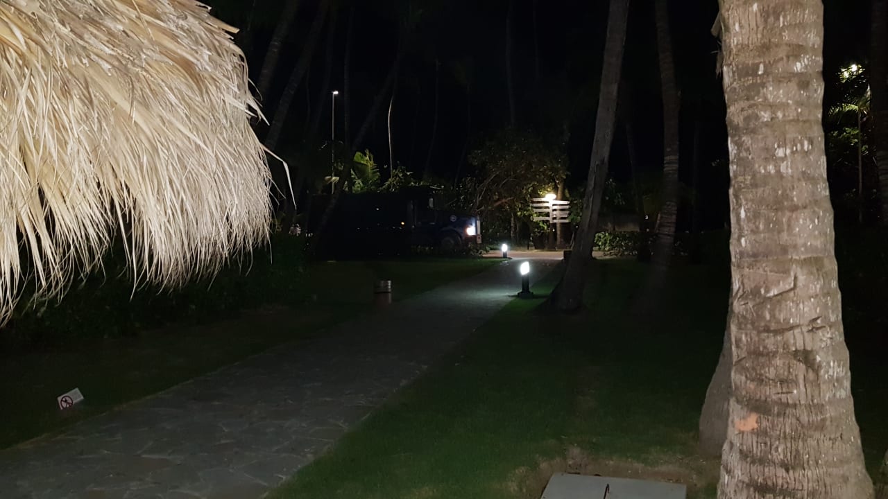 Garten Hotel Grand Palladium Palace Resort, Spa & Casino