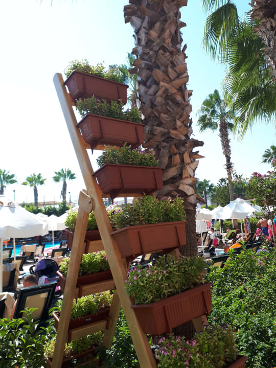 Garten Hane Family Resort