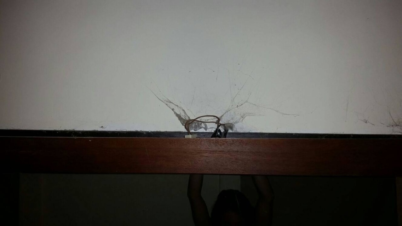 Spinnweben  Hotel Vila Ombak