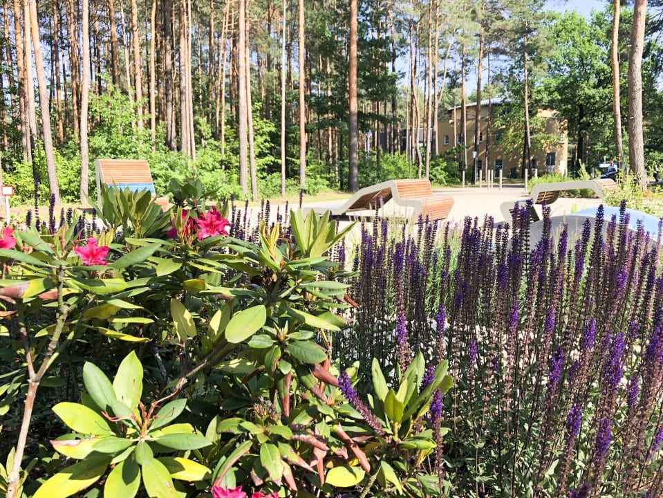 Gartenanlage Familienpark Senftenberger See