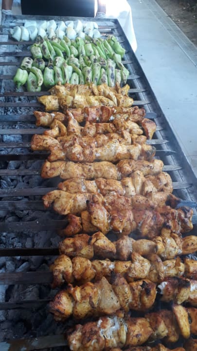 Gastro Well Palace Side