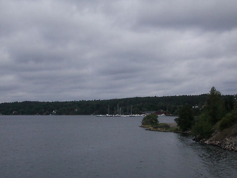 Blick aus dem Zimmer Hotel Scandic Foresta