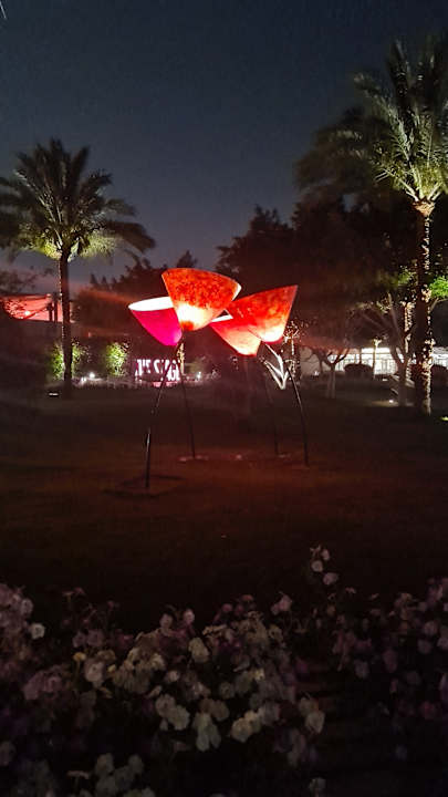 Gartenanlage Desert Rose