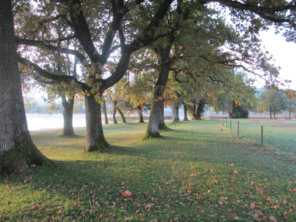 Badestrand Schöllkopf Prien Ferienwohnungen