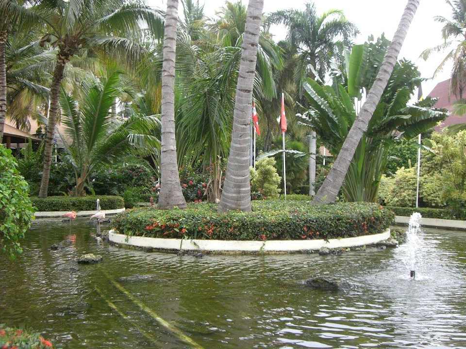 Teich Grand Palladium Select Bávaro Resort & Spa