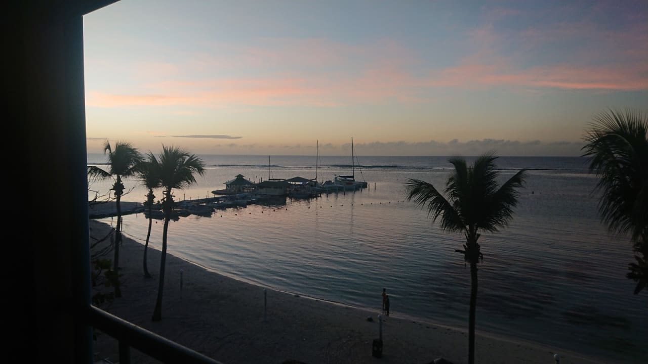 Zimmer whala!boca chica