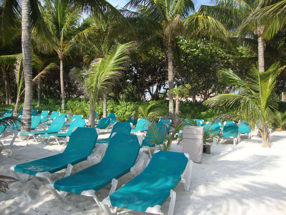 Hotel Catalonia Playa Maroma Catalonia Playa Maroma