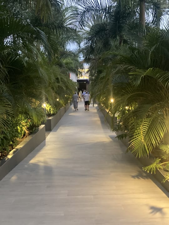 Gartenanlage Hotel Riu Palace Palmeras