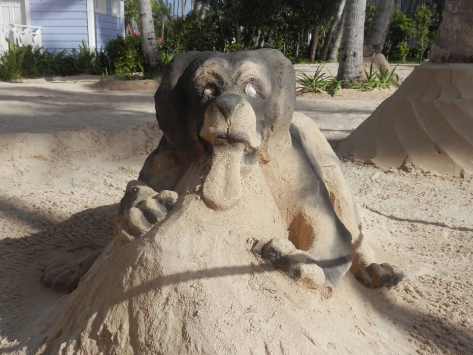 Labrador aus Sand Bahia Principe Luxury Bouganville