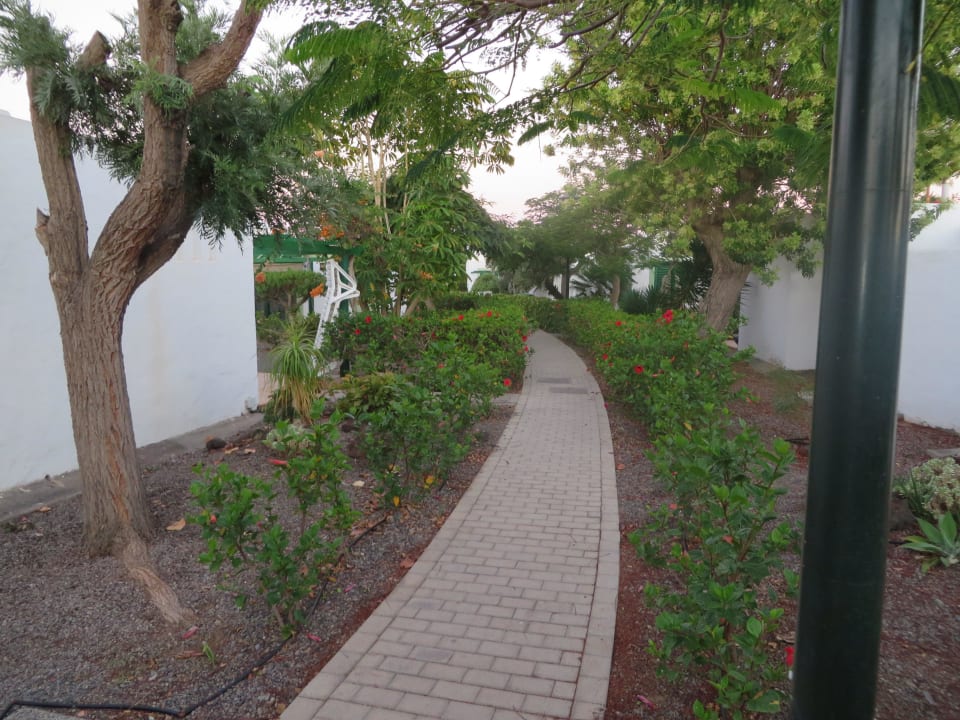 Weg zur Rezeption Bungalows Cordial Sandy Golf