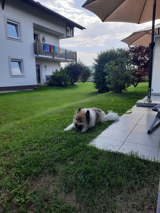 Gartenanlage Ferienwohnungen Scheiber