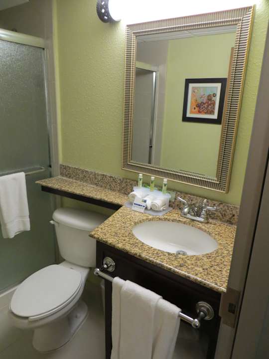 Bad Hotel Holiday Inn Express Charleston Downtown – Ashley River