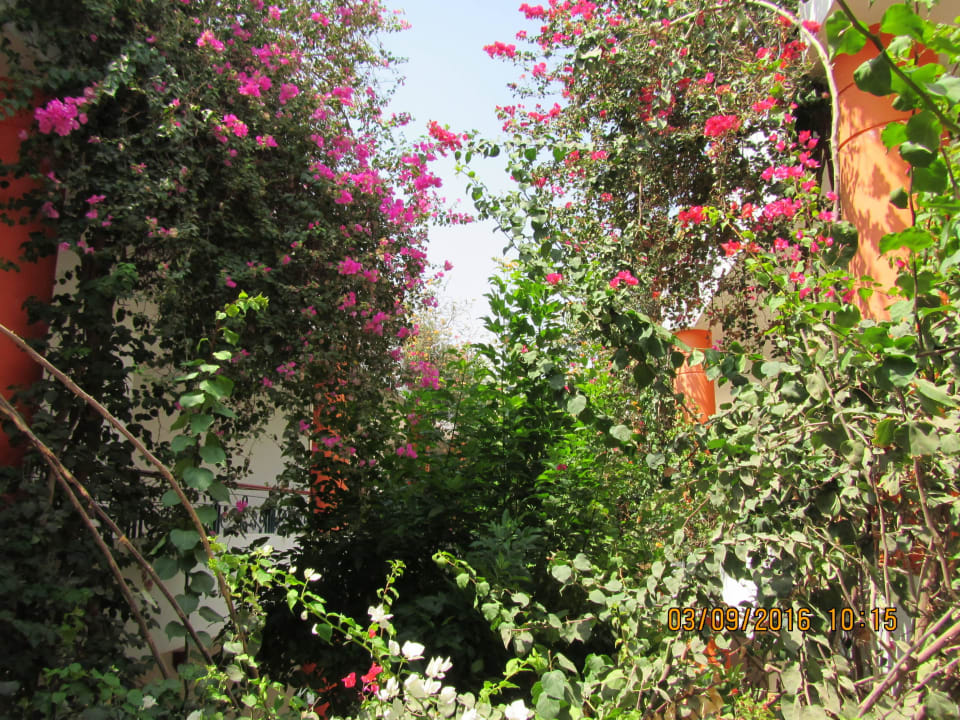 Innenhof zu den Zimmern Fantazia Resort Marsa Alam