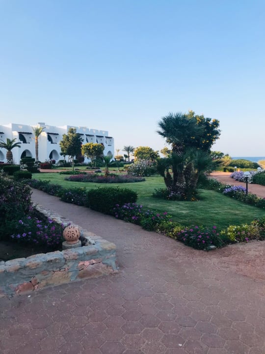 Gartenanlage Three Corners Equinox Beach Resort