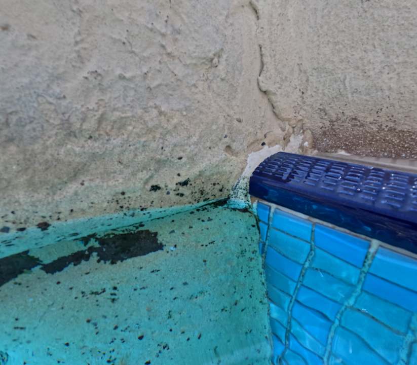 Pool Grand Hyatt Dubai