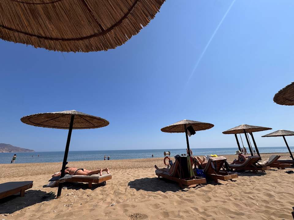 Strand Delfina Tropic Beach