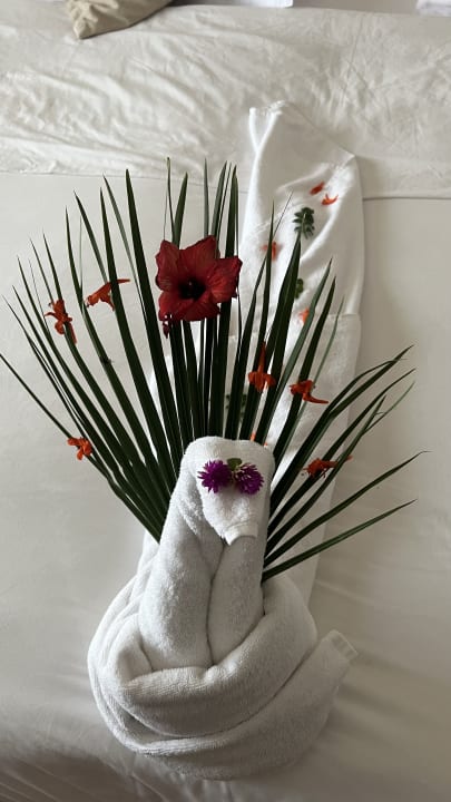 Zimmer Iberostar Selection Royal El Mansour