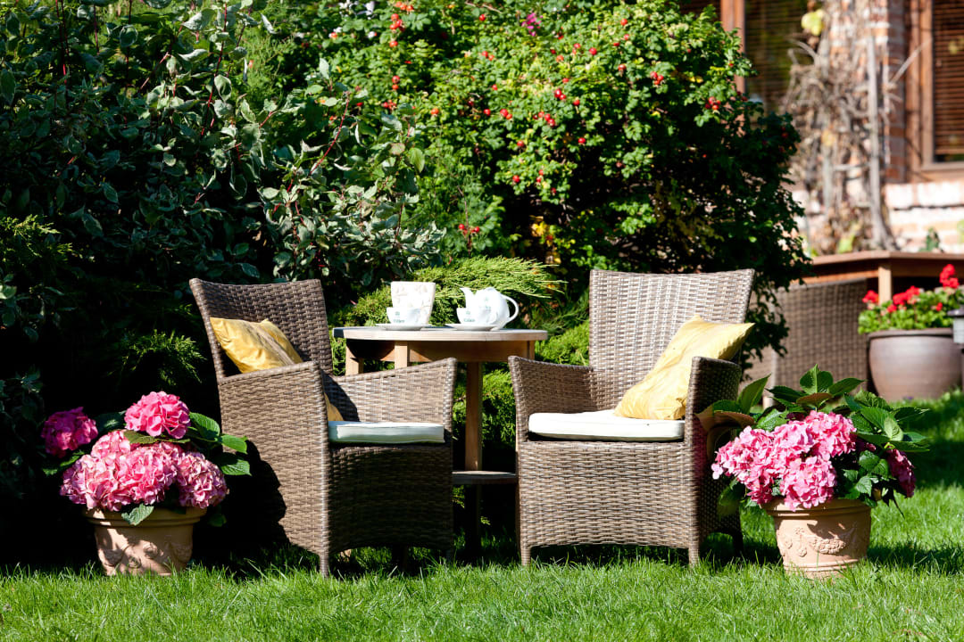 Ogród Oasis Resort & Spa