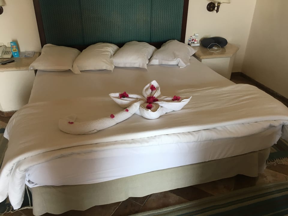 Zimmer Pickalbatros Citadel Resort