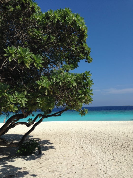 Aussicht vom Pool Adaaran Select Meedhupparu Island Resort - Premium All Inclusive