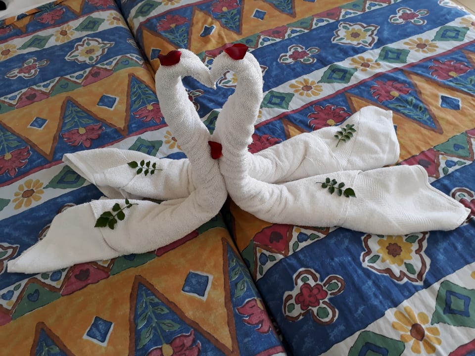 Zimmer Hotel Neptunia Skanes