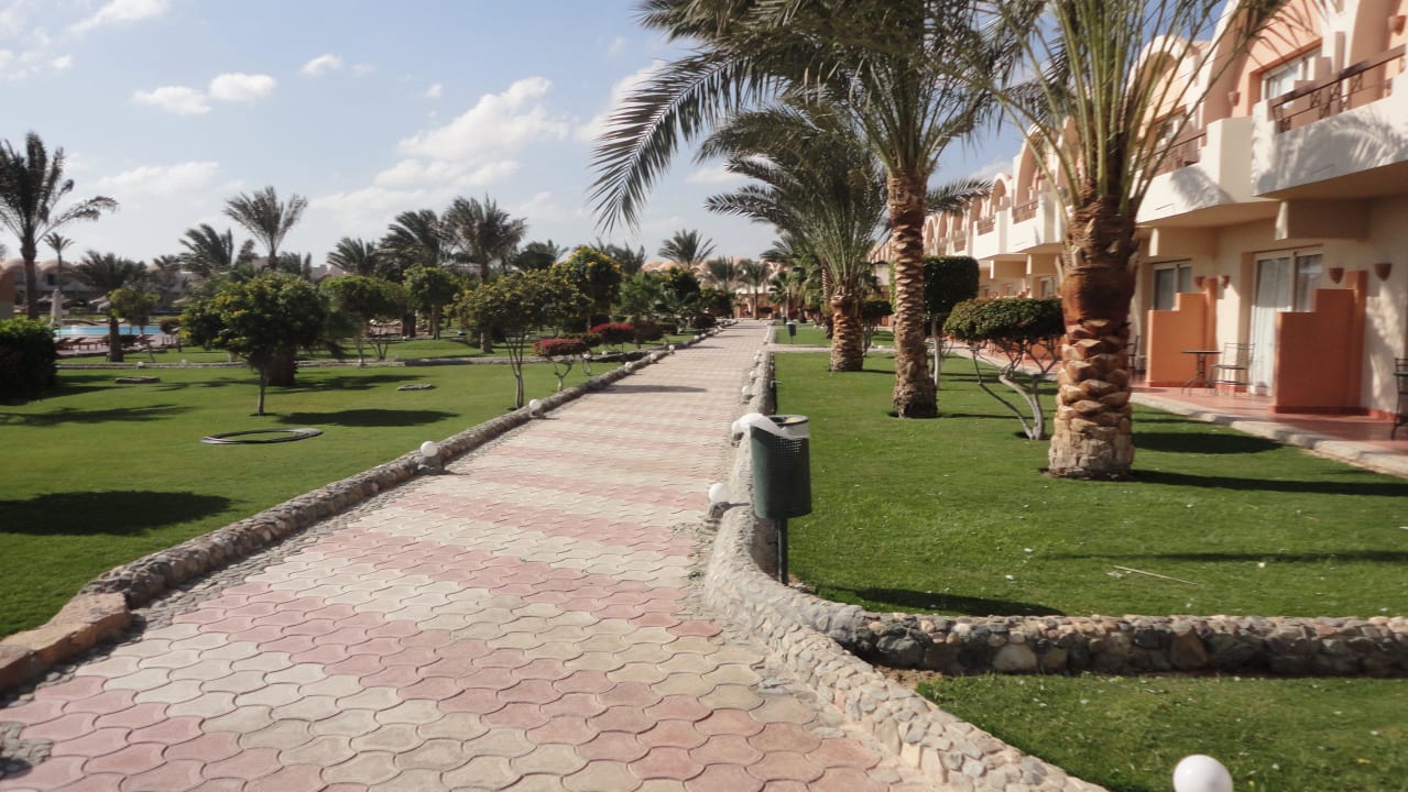 Vue sur jardin Three Corners Sea Beach Resort