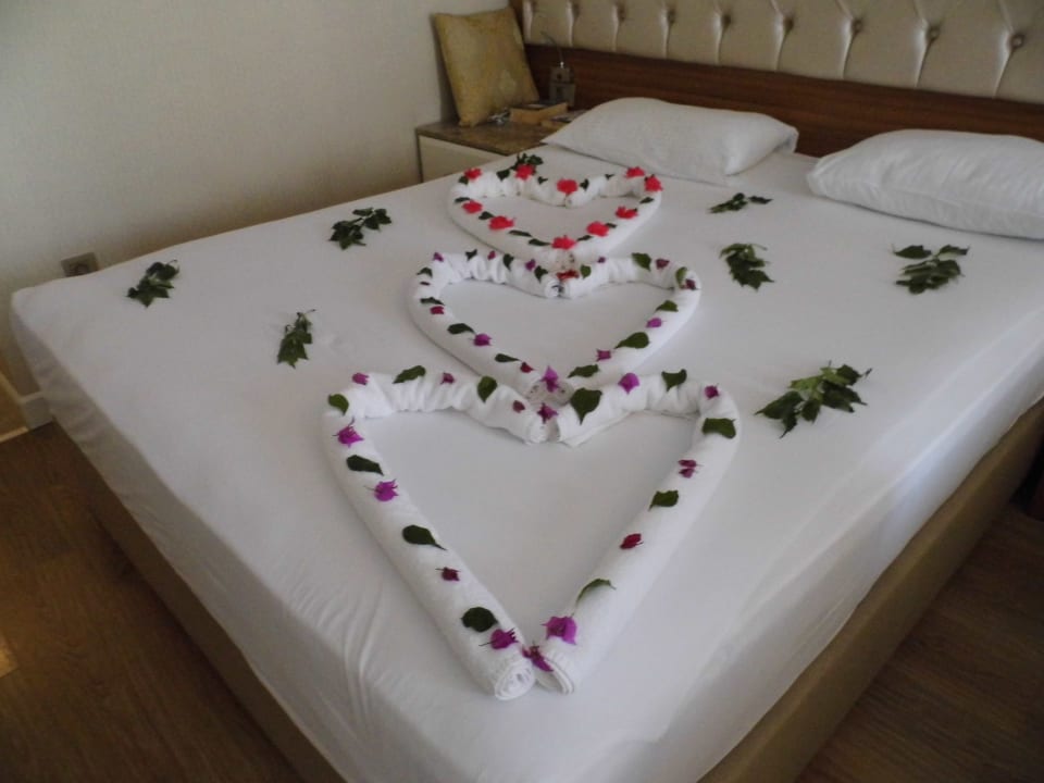 Zimmer Oz Hotels Side Premium