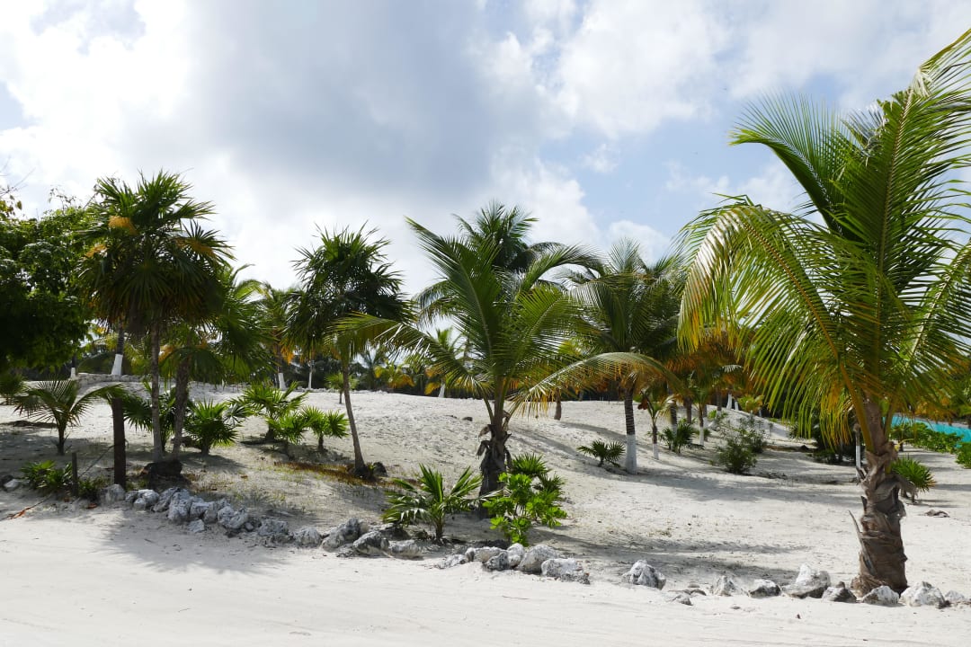 Einfahrt zum Hotel Hotel El Paraiso Tulum