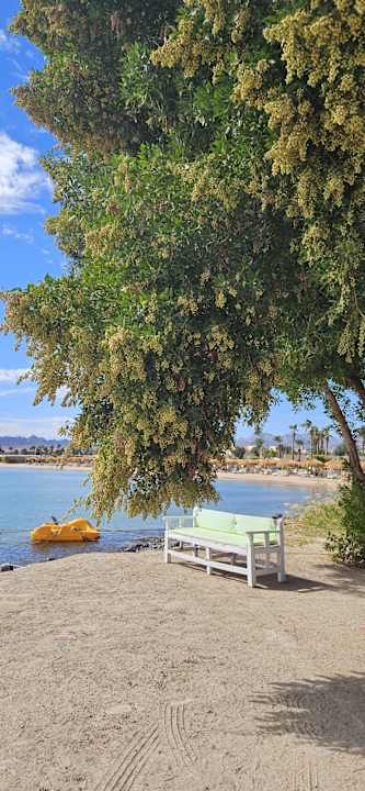Strand Eagles Paradise Abu Soma