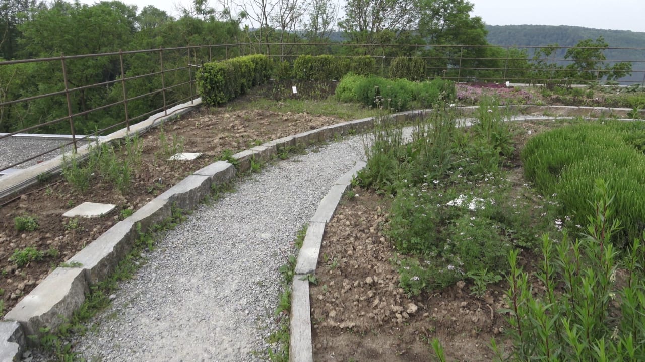 Gartenanlage Mawell Resort