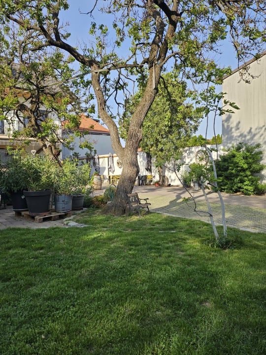 Gartenanlage Pension Julia