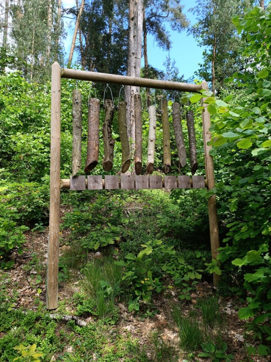 Gartenanlage Spirit & SPA Hotel Birkenhof am Elfenhain