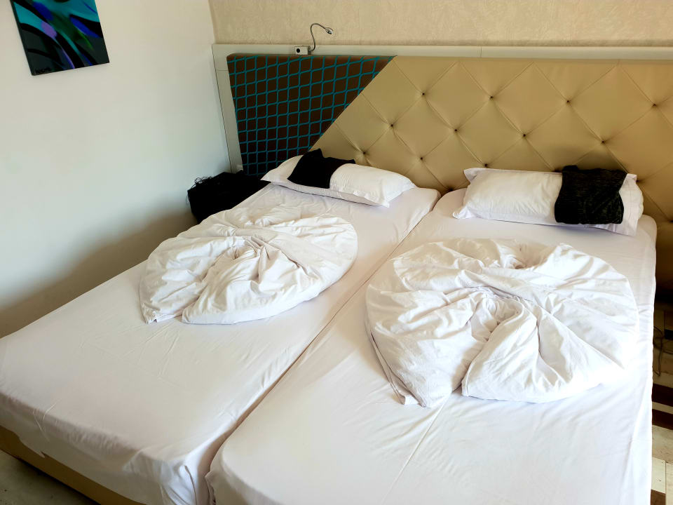 Zimmer Sentido Marea