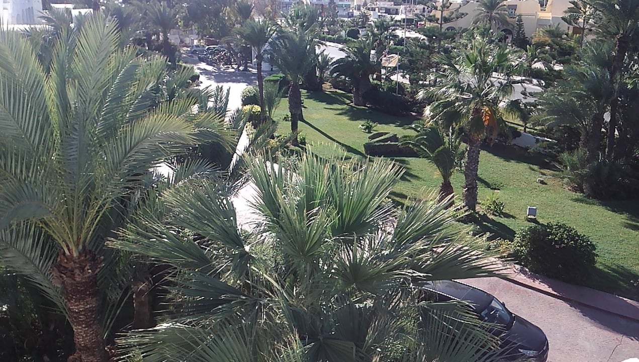 Zimmer Hotel Djerba Resort