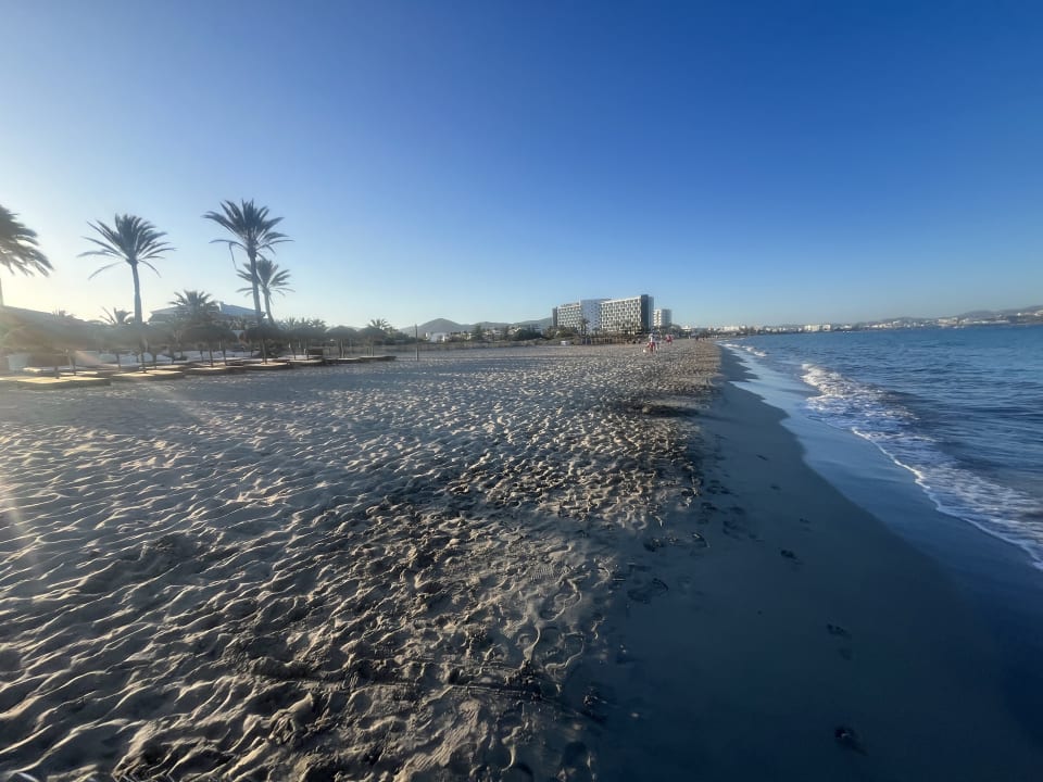 Strand FERGUS Style Bahamas