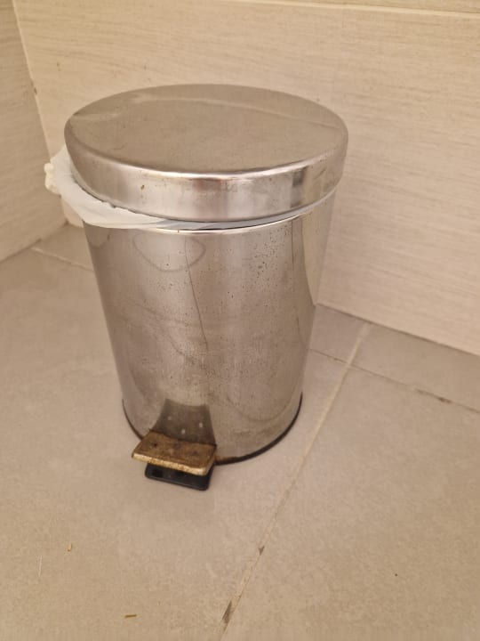 Zimmer blau punta reina