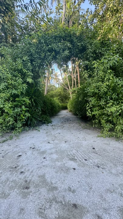 Gartenanlage Filitheyo Island Resort