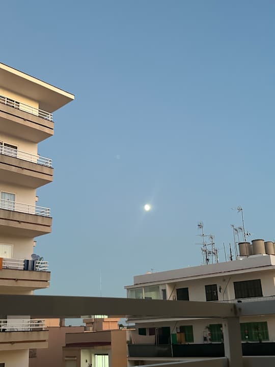 Ausblick Palma Beach Affiliated by FERGUS