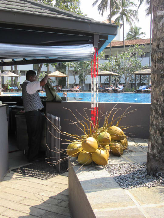 Poolbar Tangerine Beach Hotel