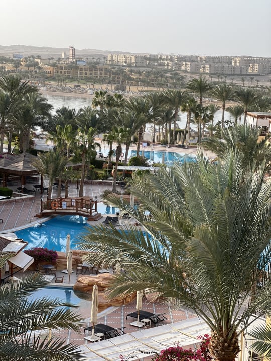 Pool Steigenberger Coraya Beach - Adults only