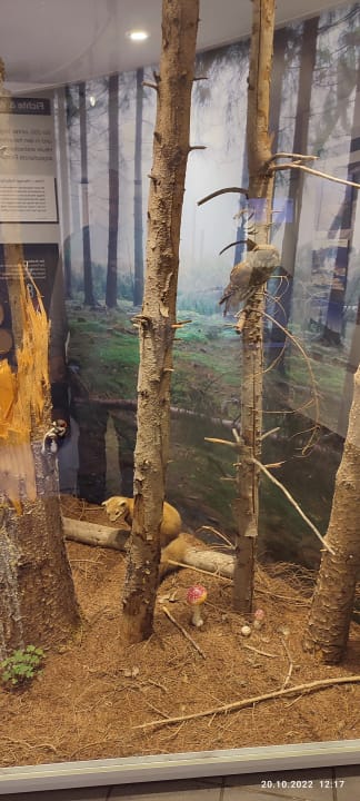 Ausblick Berghotel Hoher Knochen