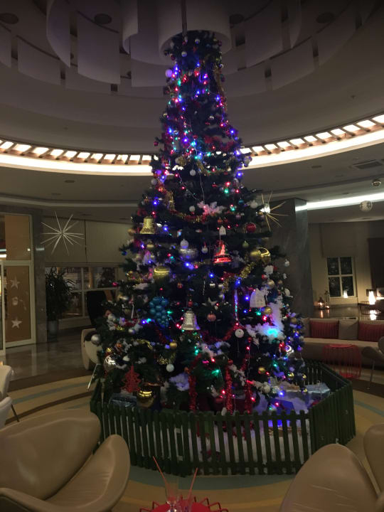 Lobby Paloma Oceana