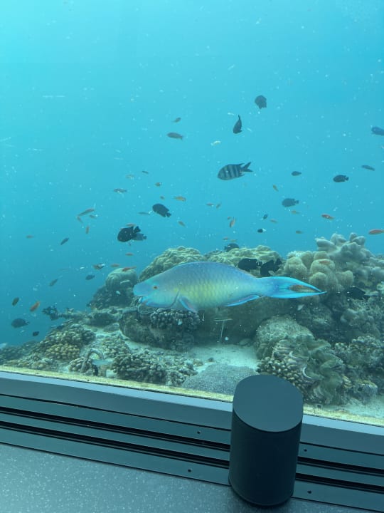 Sonstiges Kuredu Island Resort & Spa